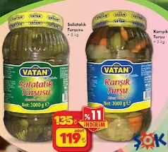 KARIŞIK TURŞU / SALATALIK TURŞUSU 3 KG indirimli fiyat KARIŞIK TURŞU / SALATALIK TURŞUSU 3 KG fiyat ve kampanya bilgisi
